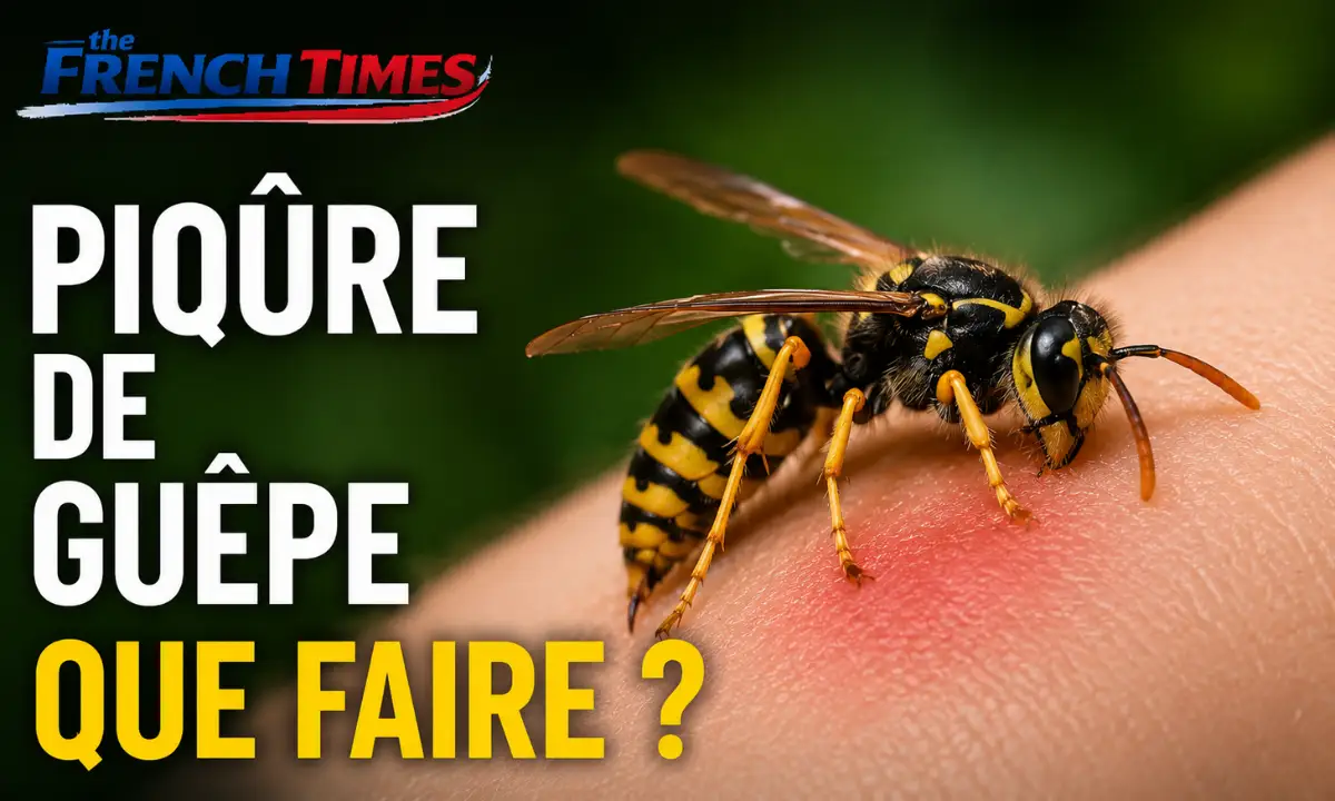 Piqûre de Guêpe Que Faire